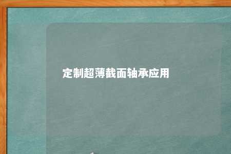 定制超薄截面轴承应用 