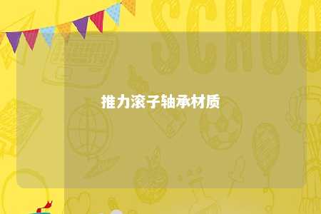 推力滚子轴承材质 