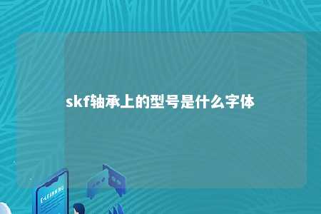 skf轴承上的型号是什么字体 